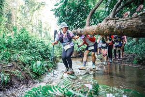 BIB: 
                            <button type="button" onclick="openModal(25476411)" class="btn btn-primary btn-sm float-right btn-popup" data-toggle="modal" data-target=".modal-high-quality">
                        <i class="fas fa-shopping-cart"></i> Add to Cart
                    </button>
                                            <button type="button" onclick="isThisMe(25476411, true)" class="btn btn-success btn-sm float-right btn-popup btn-isme hidden" data-toggle="tooltip" data-placement="bottom" title="นี่คือรูปของคุณใช่ไหม คลิกที่นี่เพื่อเอาเข้าอัลบั้ม">
                        <i class="fas fa-plus"></i> Add to album
                    </button>
                    <button type="button" onclick="isThisMe(25476411, false)" class="btn btn-warning btn-sm float-right btn-popup btn-isnotme hidden">
                        <i class="fas fa-ban"></i> Remove from album
                    </button>